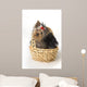 Yorkshire Terrier Puppy Wall Decal