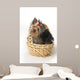 Yorkshire Terrier Puppy Wall Decal