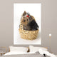 Yorkshire Terrier Puppy Wall Decal