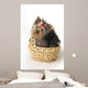 Yorkshire Terrier Puppy Wall Decal