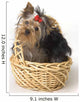 Yorkshire Terrier Puppy Wall Decal