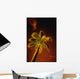 Tropical Palm Tree At Night Wall Mural