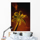 Tropical Palm Tree At Night Wall Mural