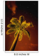 Tropical Palm Tree At Night Wall Mural