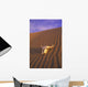 Skull In Desert Wall Mural