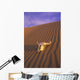 Skull In Desert Wall Mural