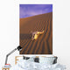 Skull In Desert Wall Mural