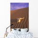Skull In Desert Wall Mural