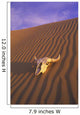 Skull In Desert Wall Mural