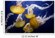 Sea Nettles Swimming