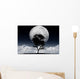 Fantastic moon Wall Mural