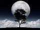 Fantastic moon Wall Mural