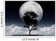 Fantastic moon Wall Mural