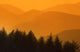 Trees Silhouetted Against Hills, British Columbia, Canada Wall Mural
