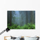 Early Morning In The Forest, Humboldt, California, Usa Wall Mural