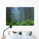 Early Morning In The Forest, Humboldt, California, Usa Wall Mural