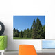 Black Spruce Forest Wall Mural