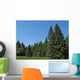 Black Spruce Forest Wall Decal Design 2