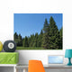 Black Spruce Forest Wall Decal Design 2