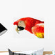 Scarlet Macaw Wall Mural