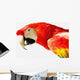 Scarlet Macaw Wall Mural
