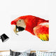 Scarlet Macaw Wall Mural