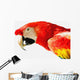 Scarlet Macaw Wall Mural