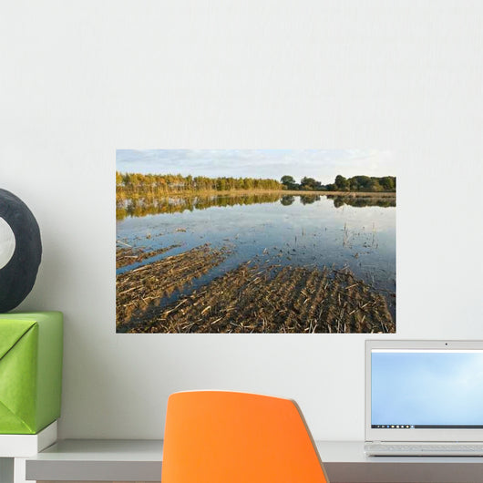 Flood Warning Wall Decal Design 2