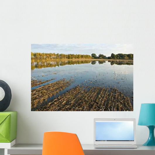 Flood Warning Wall Mural