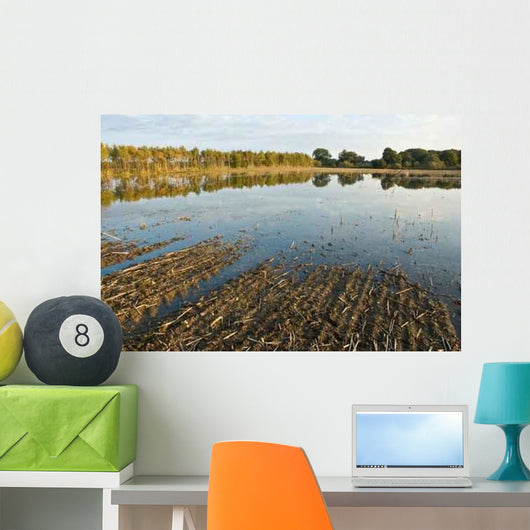 Flood Warning Wall Mural