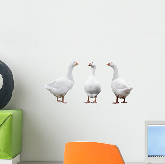 Three Geese Wall Decal Sticker Set