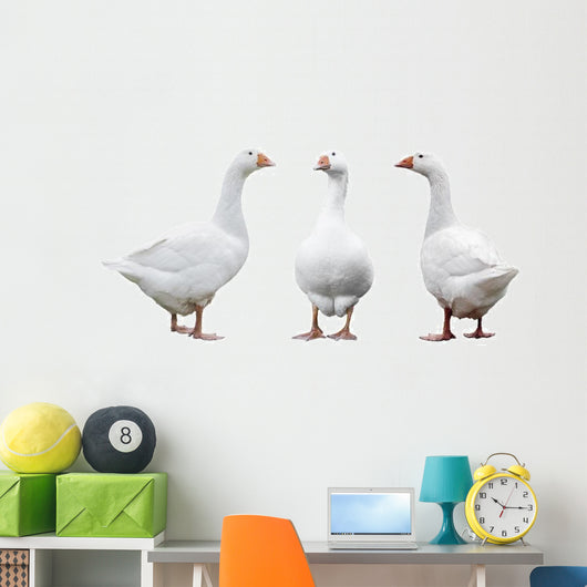 Three Geese Wall Decal Sticker Set