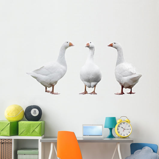 Three Geese Wall Decal Sticker Set