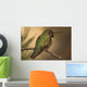 Humming Bird On Branch Wall Mural