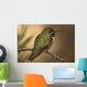 Humming Bird On Branch Wall Mural