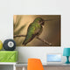 Humming Bird On Branch Wall Mural