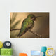 Humming Bird On Branch Wall Mural