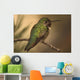 Humming Bird On Branch Wall Mural