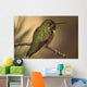 Humming Bird On Branch Wall Mural