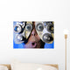 Eye Exam Wall Mural