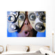 Eye Exam Wall Mural