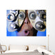 Eye Exam Wall Mural
