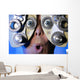 Eye Exam Wall Mural