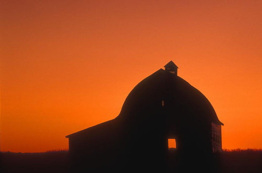 Silhouetted Building Wall Mural