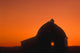 Silhouetted Building Wall Mural