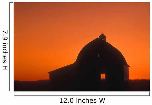 Silhouetted Building Wall Mural