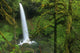 Woodland Waterfall, Usa Wall Mural