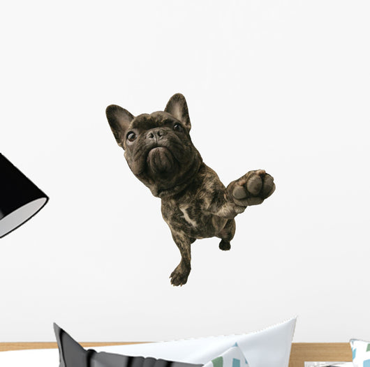 Dog With Paw Raised Wall Decal
