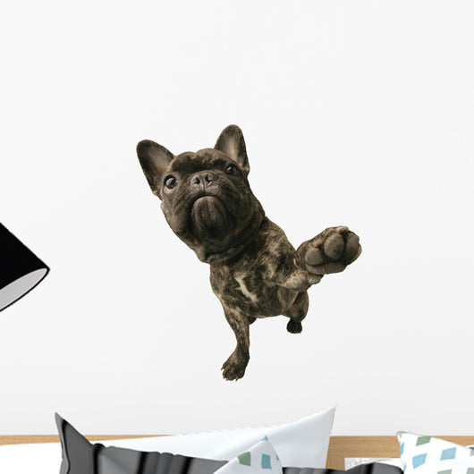 Dog With Paw Raised Wall Decal