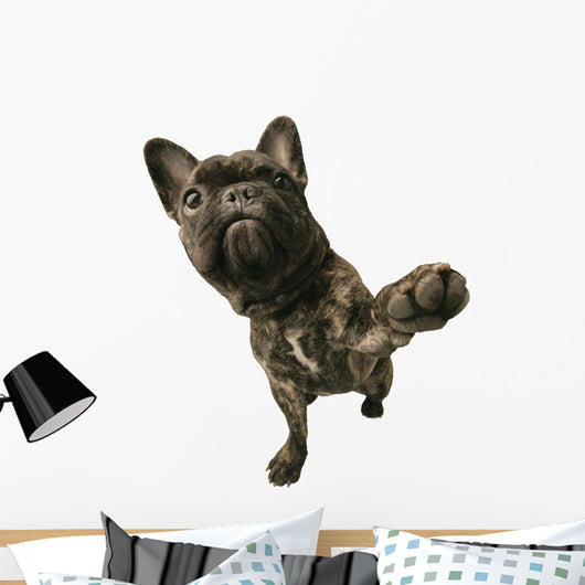 Dog With Paw Raised Wall Decal